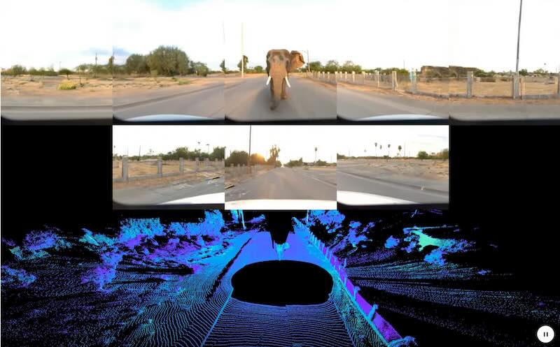 Waymo World Model, Simulation: Encounter with a friendly elephant.