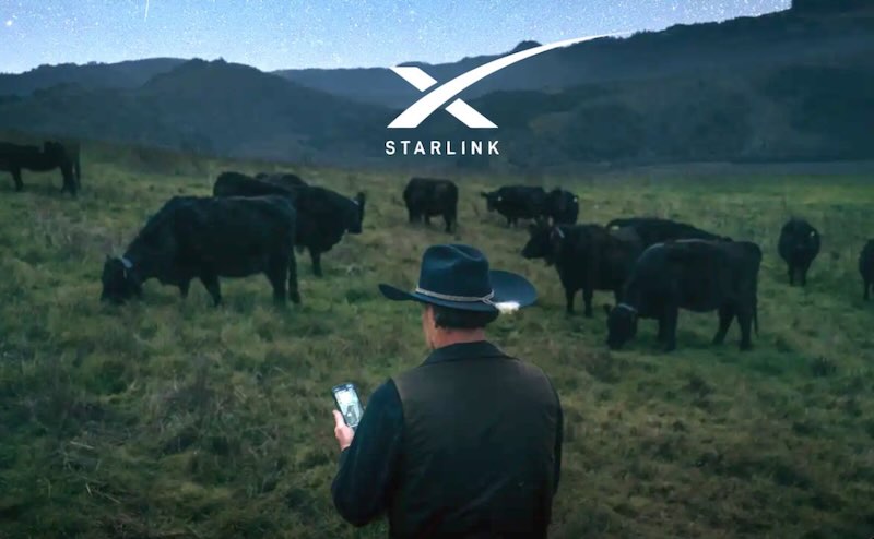 Halter Launches Starlink-Powered Smart Cattle Collars